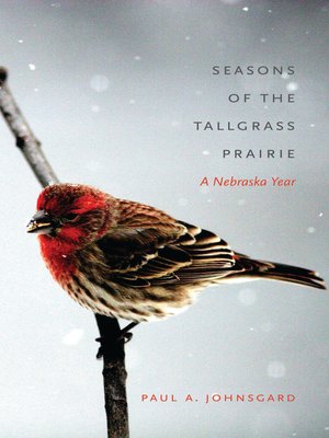 cover image of Seasons of the Tallgrass Prairie